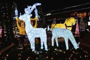 Seu Ambiente Único com Nossos Projetos de Iluminação