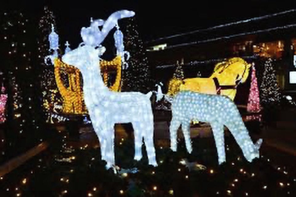 Eventos - Decoração | Vluzbrasil